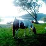 In Parlow With Parking * Passow (Uckermark)