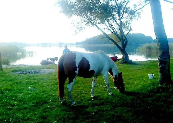 In With Parking * Passow (Uckermark)